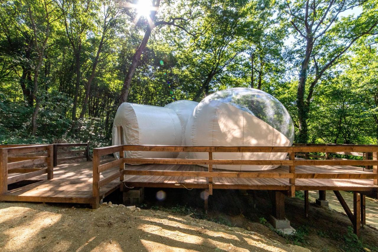 Hotel Nomad & Glamping Noszvaj