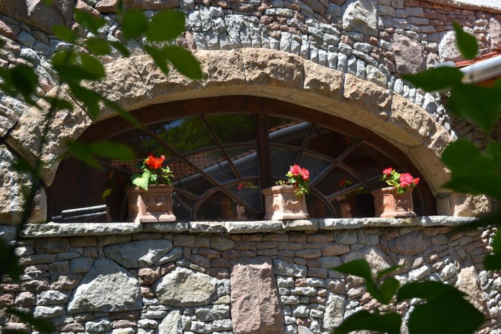 Hotel Nomad & Glamping