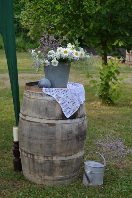 Nomad & Glamping Hotel Noszvaj